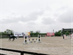 -松声马术俱乐部