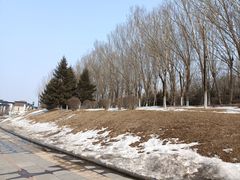 -莫子山公园