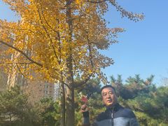-护国法轮寺