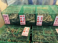 -荔城生鲜盛宴(番禺旗舰店)