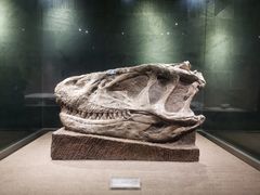 -自贡恐龙博物馆