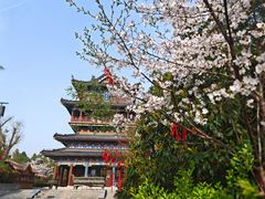 -竹林寺