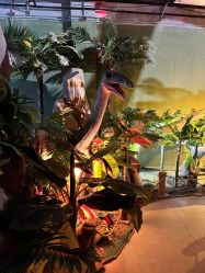 -恐龙探索乐园(磁器口店)