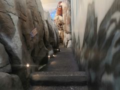 -长沙湘江冰雪世界