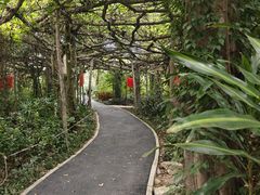 -广西壮族自治区药用植物园