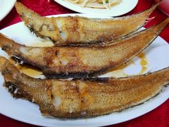 -蛇口康乐快餐鱼仔档(翠苑小区店)