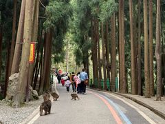 -太阳湾风景区