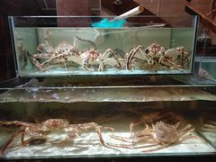 -樱之盛宴·蟹料理海鲜自助(前进大街店)