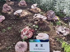 -长春农博园