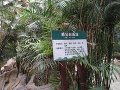 -龙达温泉生态城
