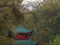 -岳麓山风景名胜区