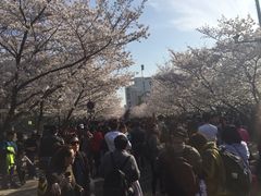 -东北农家小院(定西路店)