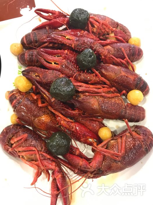 只要大肚皮龙虾图片 - 第1张