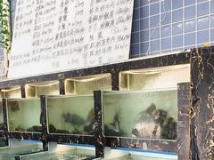 -众味海鲜大排档·活海鲜·潮汕味(南澳店)