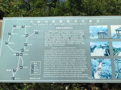 -大岭沟猕猴桃谷风景区