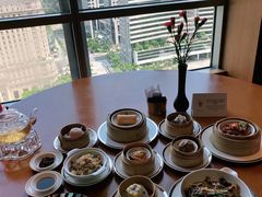 -广州富力君悦大酒店空中花园
