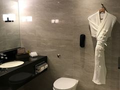-新加坡乌节希尔顿酒店 (SG Clean)