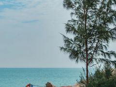 -广东惠东海龟国家级自然保护区