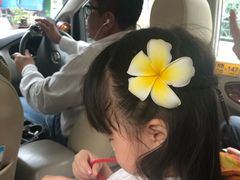 -东芭乐园