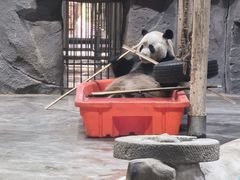 -栾川竹海野生动物园