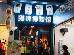 -猫咪博物馆(顶澳仔猫街店)