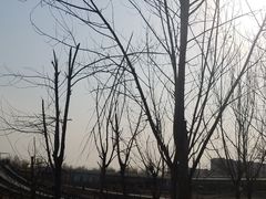 -北京鹿世界主题园
