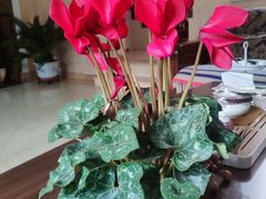 -天津东丽湖风景区