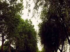 -太阳岛度假酒店