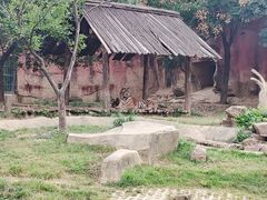 -无锡动物园·太湖欢乐园