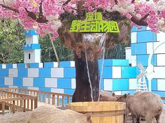 -深圳野生动物园