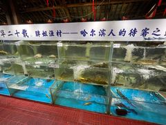 水产区-胖姐渔村(中源大道店)