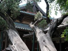 -晋祠博物馆
