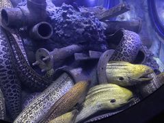 -成都浩海立方海洋公园