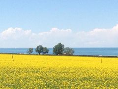 -青海湖国家重点风景名胜区