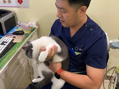 -美迦爱-牙专科·兔科·骨科诊疗中心(北苑店)