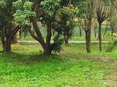 -贵阳市花溪国家城市湿地公园