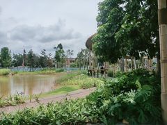 -光明小镇欢乐田园