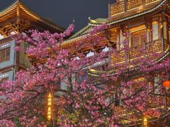 -大佛古寺