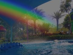 -美的鹭湖探索王国