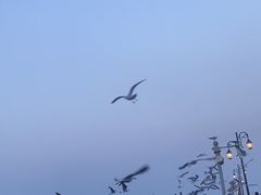 -大连海昌东方水城