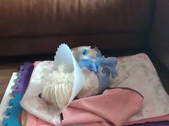 -美联众合动物医院·24h转诊中心