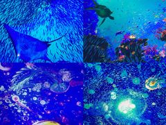 -南戴河国际娱乐中心