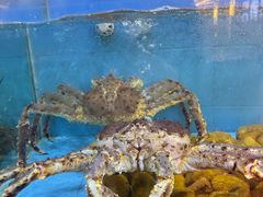 -金迎海鲜酒家(金凤凰广场店)