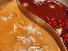 -麻田会 ·鲜活现烹·牛蛙火锅(珠江新城维家思广场店)