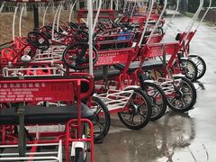 -永定河休闲森林公园