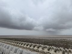 -南汇嘴观海公园