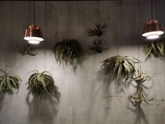 -Apollo·西班牙小酒馆(安福路店)