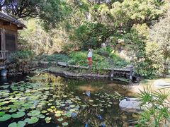 -深圳国际园林花卉博览园