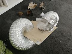 -UCCA Kids 儿童美育