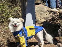 -白草畔自然风景区